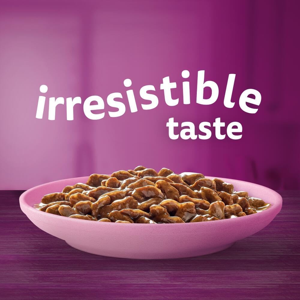 Whiskas Junior Classic Selection in Gravy - Wet Kitten Food | 84 Pouch Megapack |KittyMart