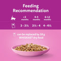 Whiskas Junior Poultry Selection in Jelly - Wet Kitten Food | 84 Pouch Megapack |KittyMart